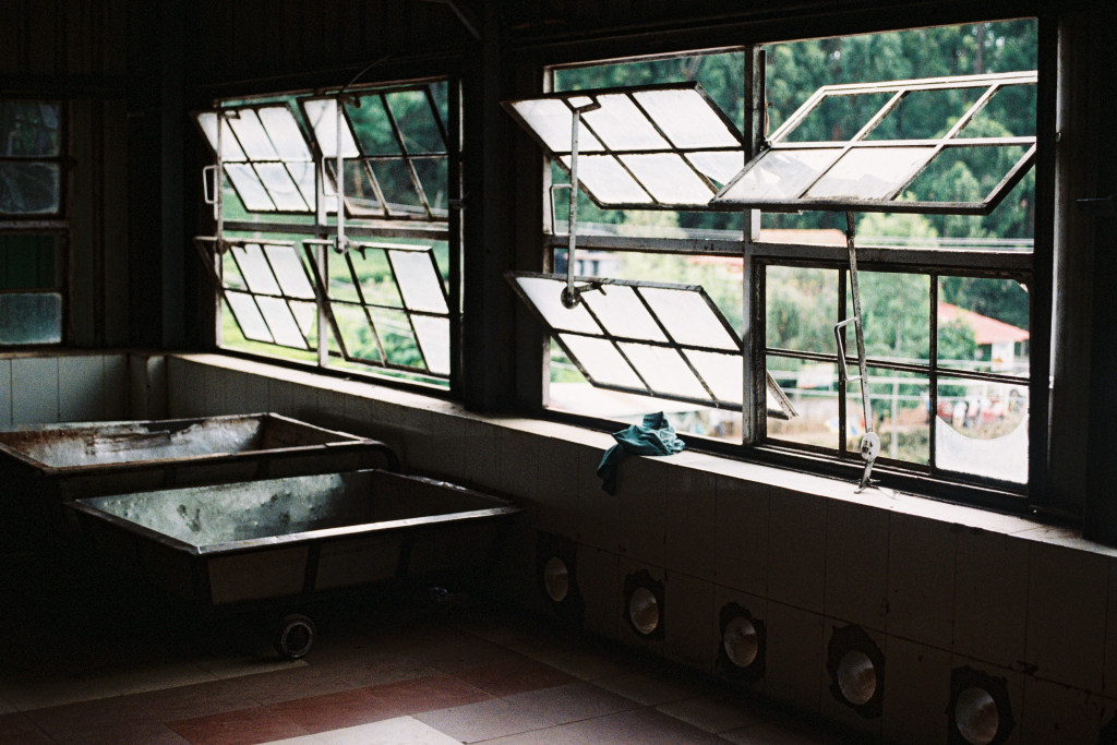 Highfield Tea Factory