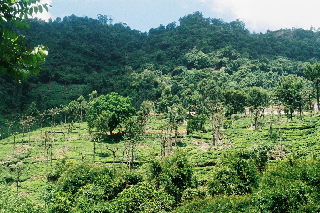 Nilgiri Mountain Railway