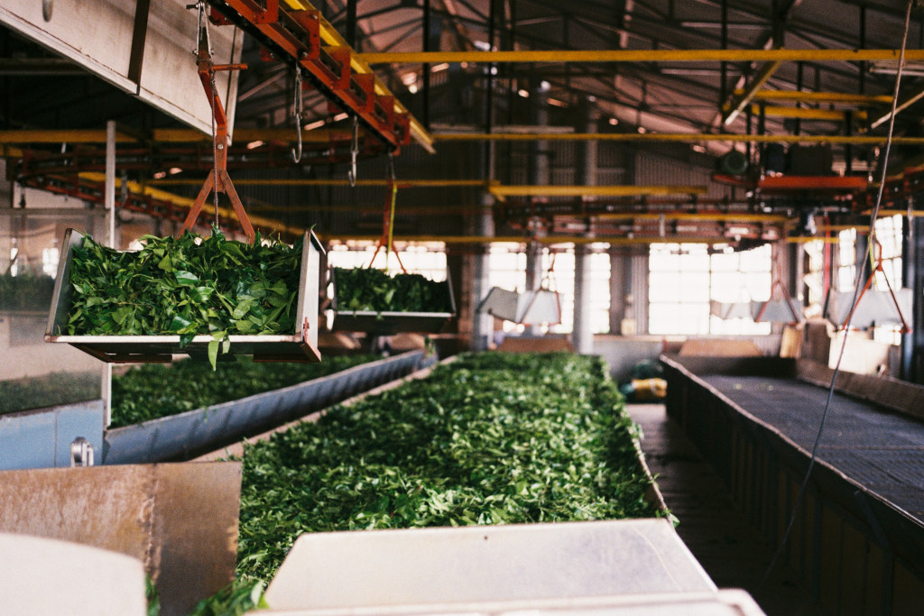 Dodabetta Tea Factory: The Tea Museum