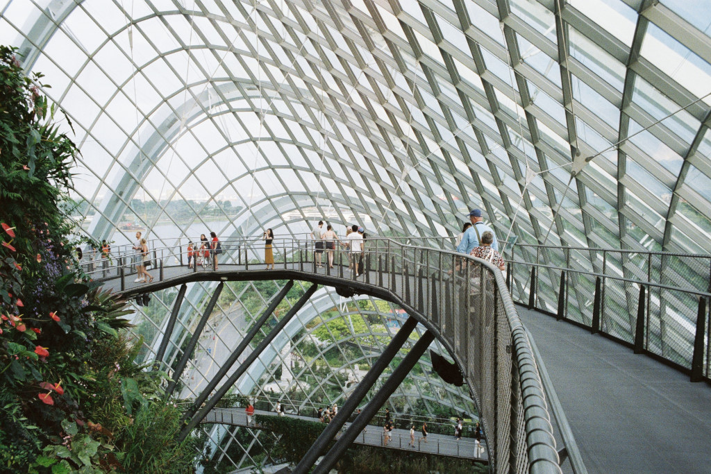 gardens by the bay