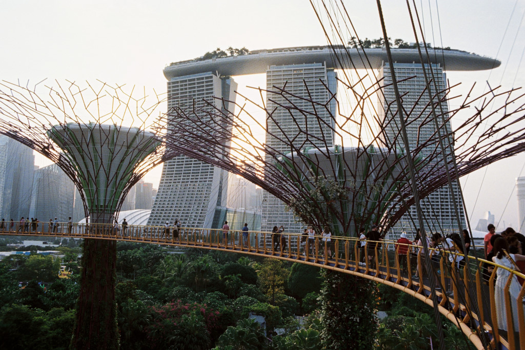 gardens by the bay