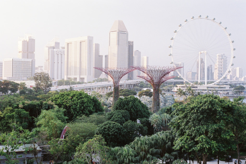 gardens by the bay