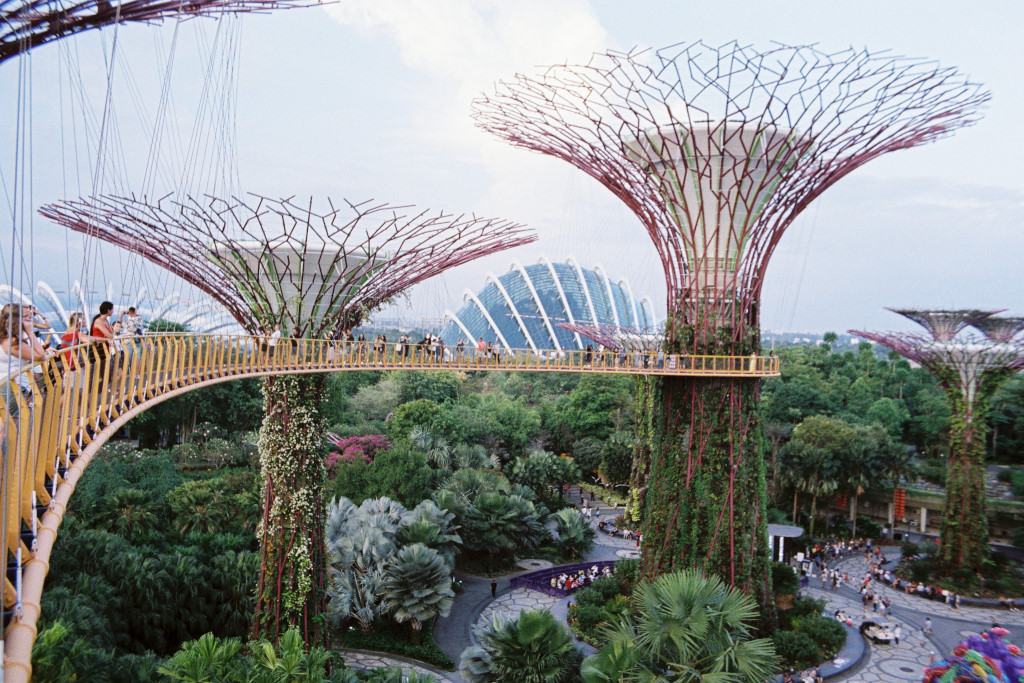 gardens by the bay