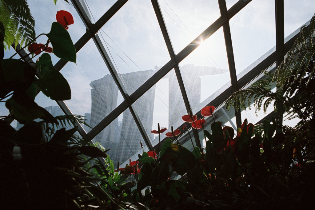gardens by the bay