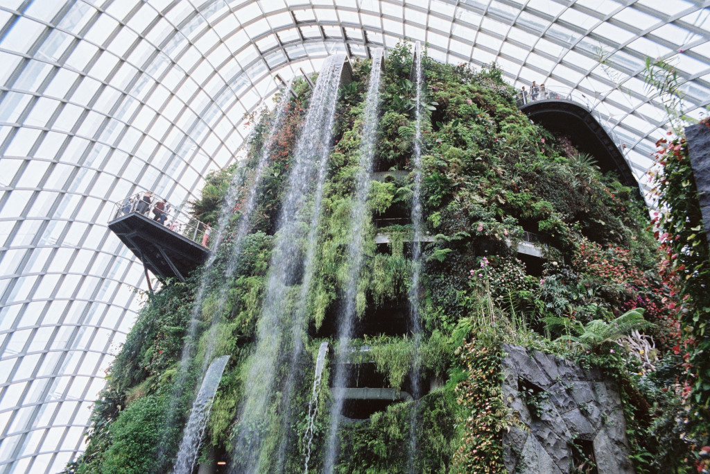 gardens by the bay