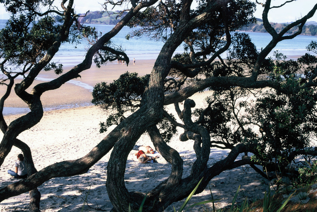 Onetangi beach
