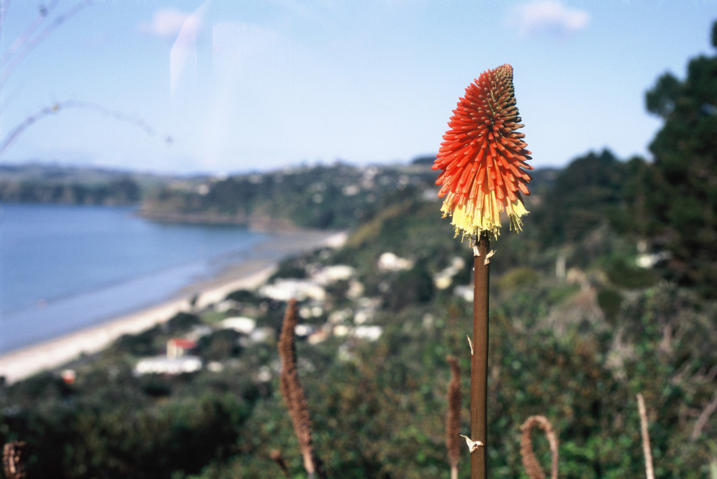 Onetangi boats