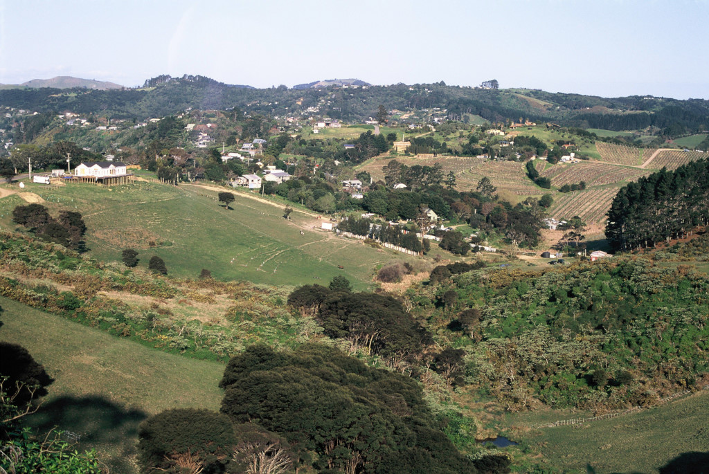 Onetangi fields