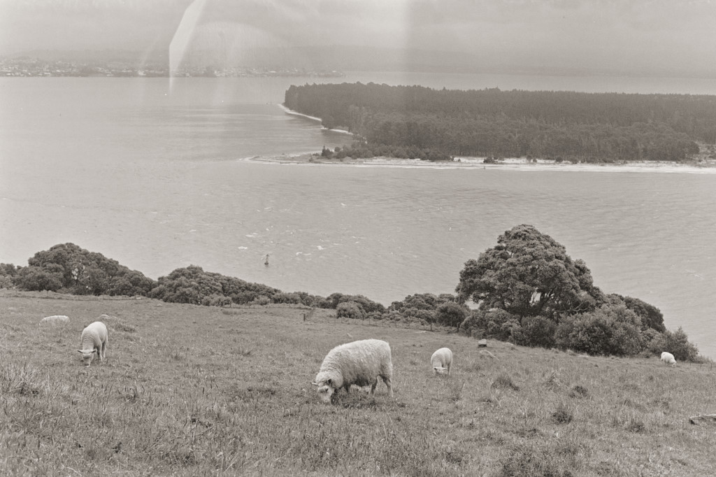 Mount Maunganui