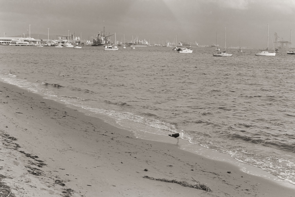 Mount Maunganui