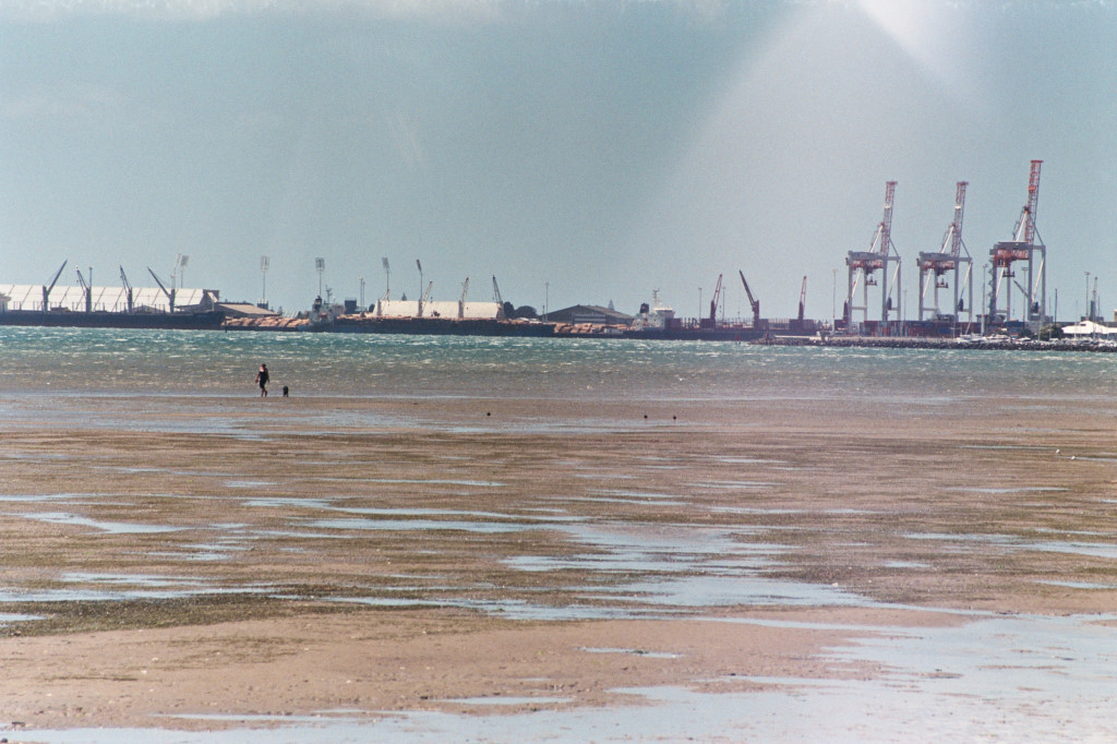 Tauranga beach
