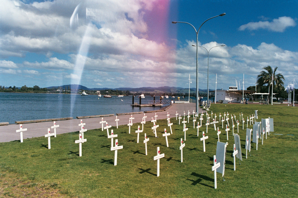 War memorial poppies