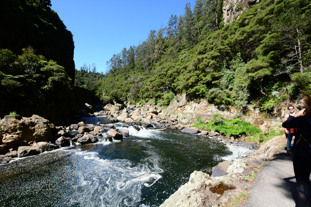 Karangahake Gorge