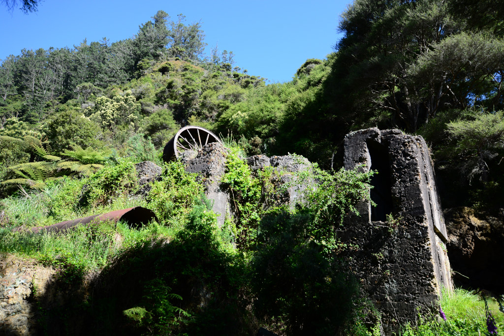 The Crown Mines