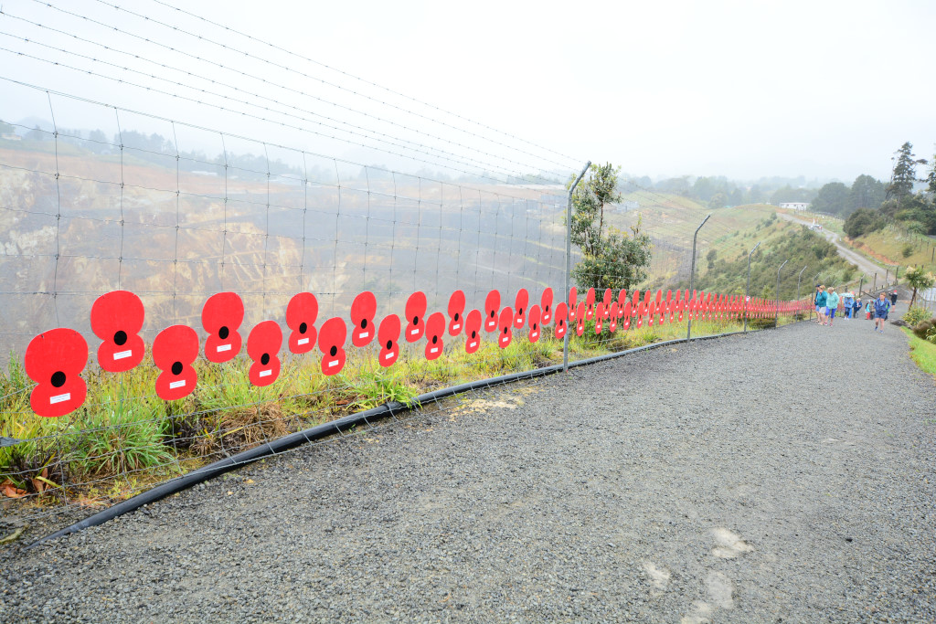 Poppies for every Waihi man that served in World War One.