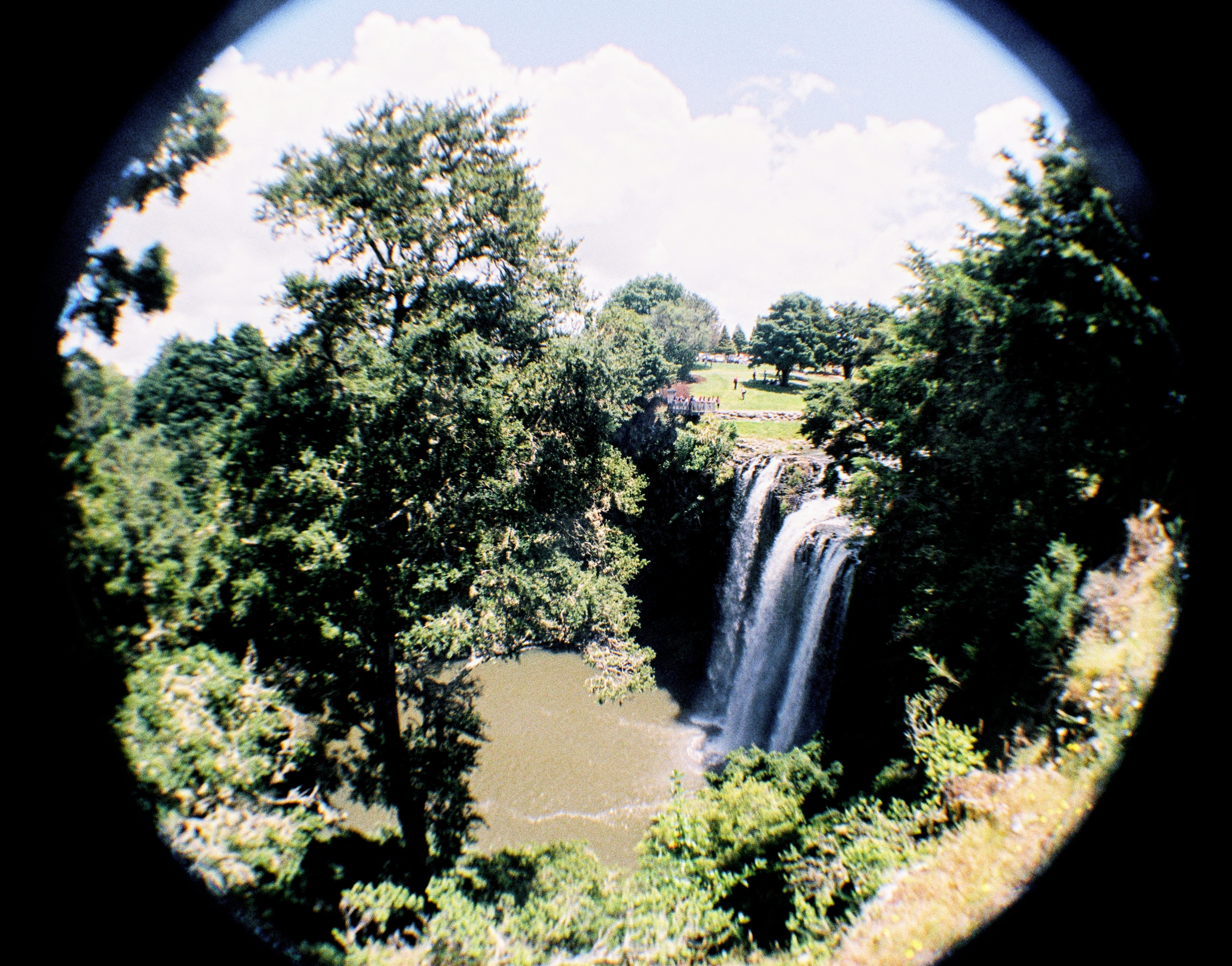 Whangarei Falls