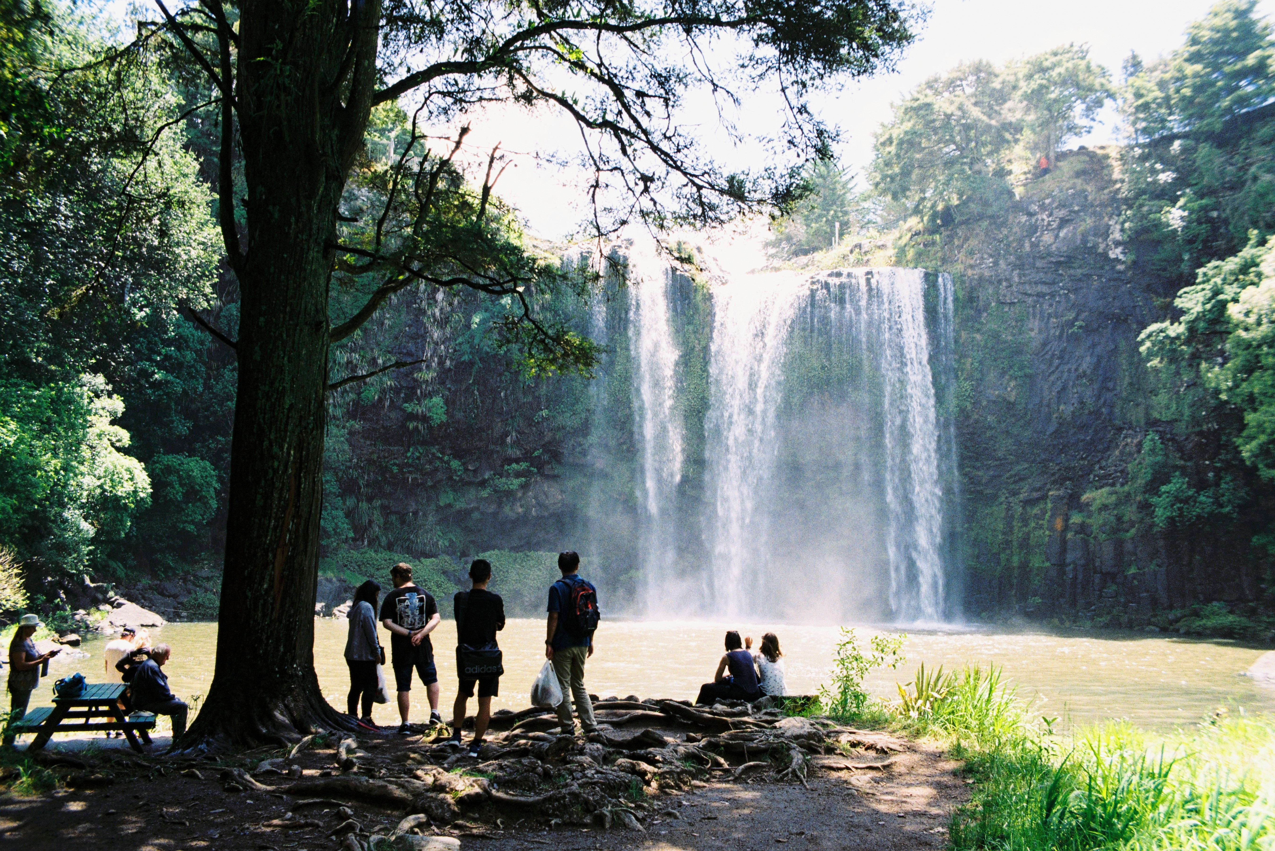 Whangarei Falls